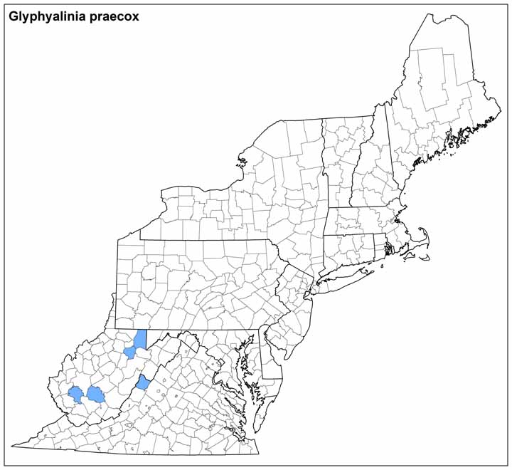 Glyphyalinia praecox Range Map